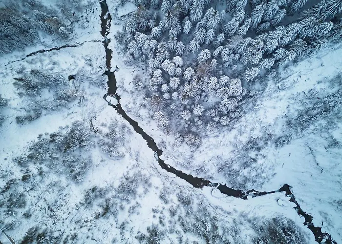 Apartament Michelhaus *